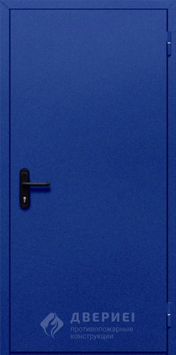 Глухая противопожарная дверь